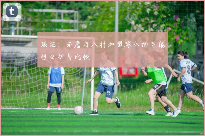 狼记：老詹与八村加盟球队的可能性分析与比较