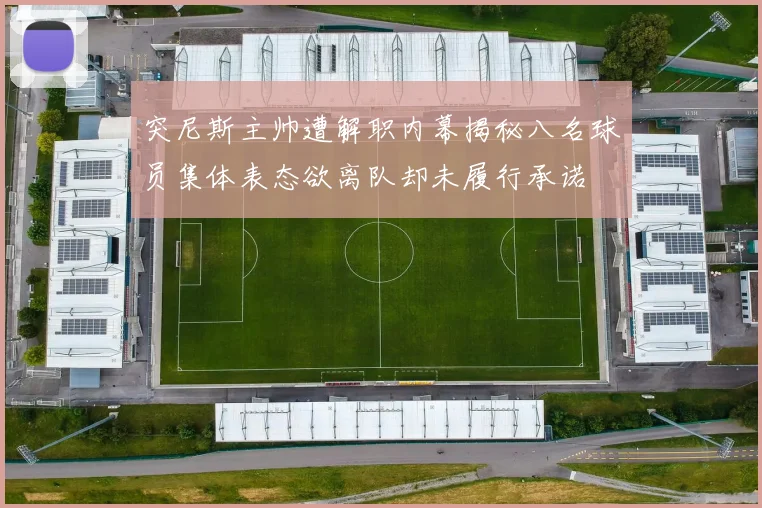突尼斯主帅遭解职内幕揭秘八名球员集体表态欲离队却未履行承诺