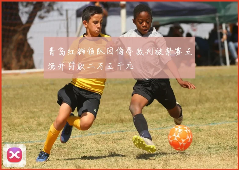 青岛红狮领队因侮辱裁判被禁赛五场并罚款二万五千元